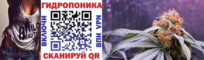 Шишки марихуана Amnesia  магазин продажи наркотиков  Камызяк 